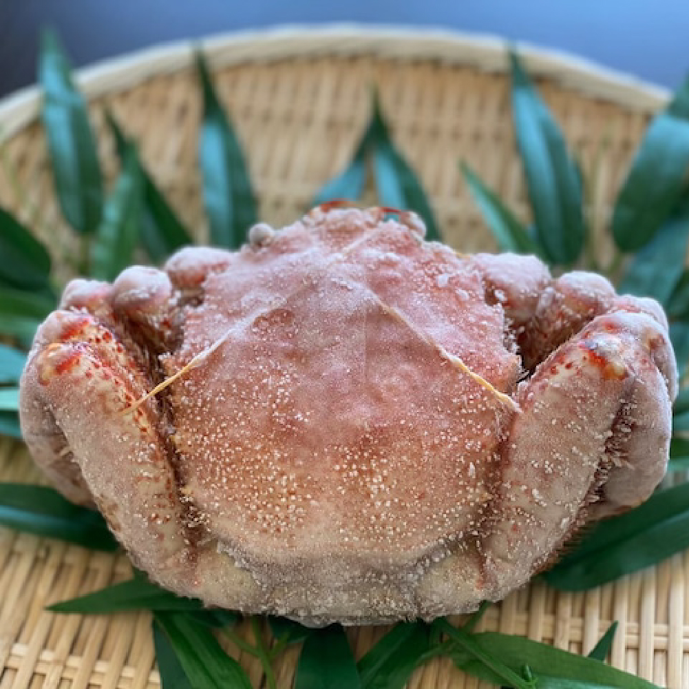 北海道産 冷凍ボイル毛蟹（1尾330g前後）