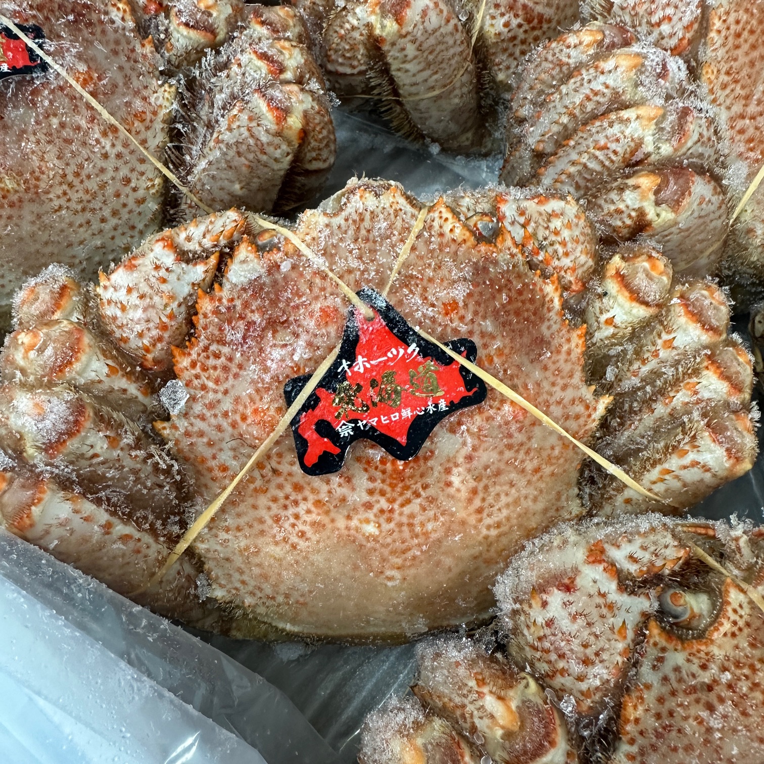 北海道オホーツク海産　冷凍ボイル毛蟹（1尾440前後）