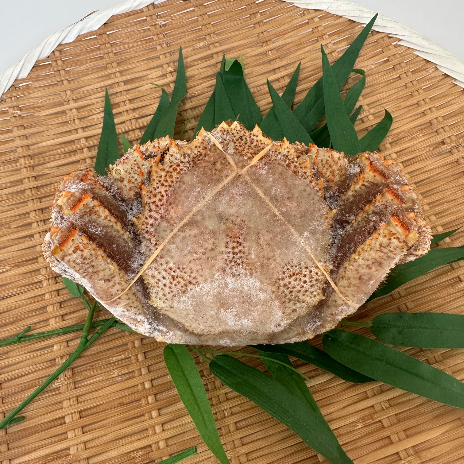 北海道産　冷凍ボイル毛蟹（1尾570前後）